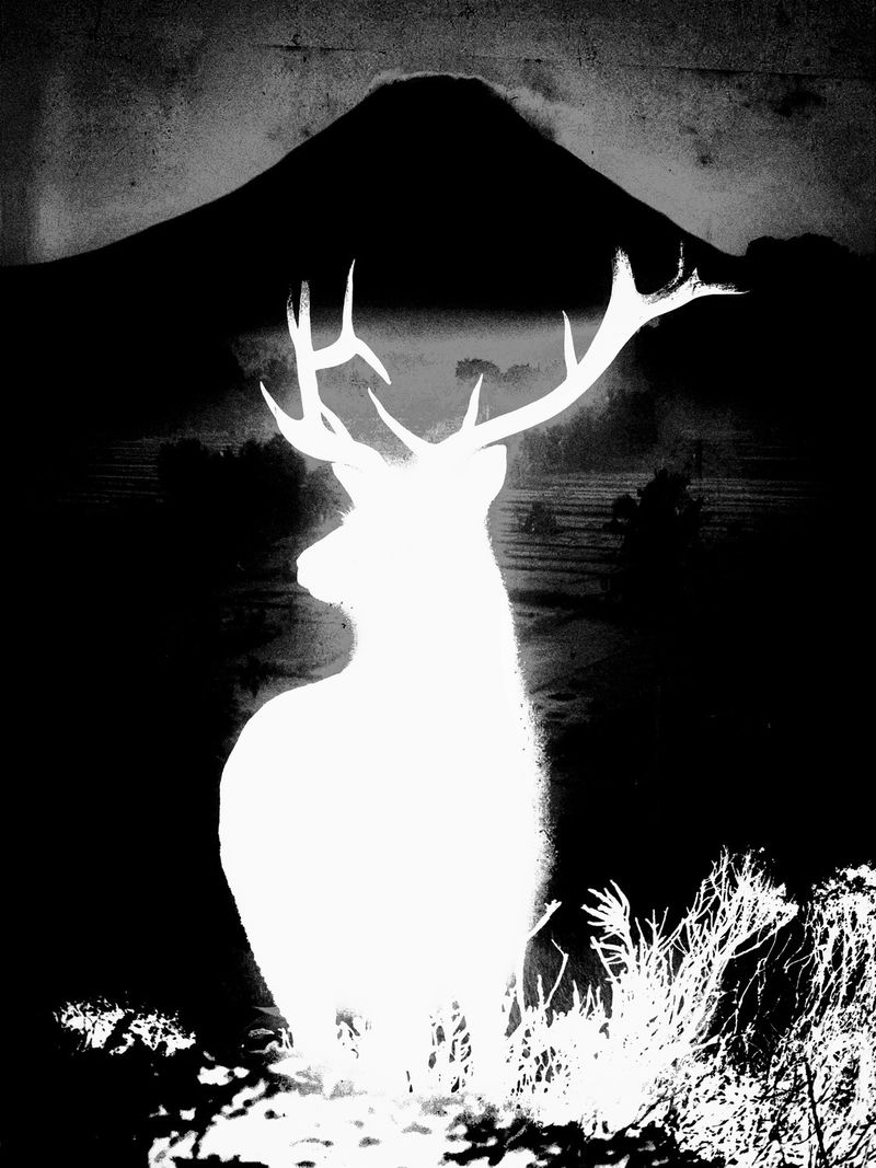 © Makis Makris - Image from the Vanessa photography project