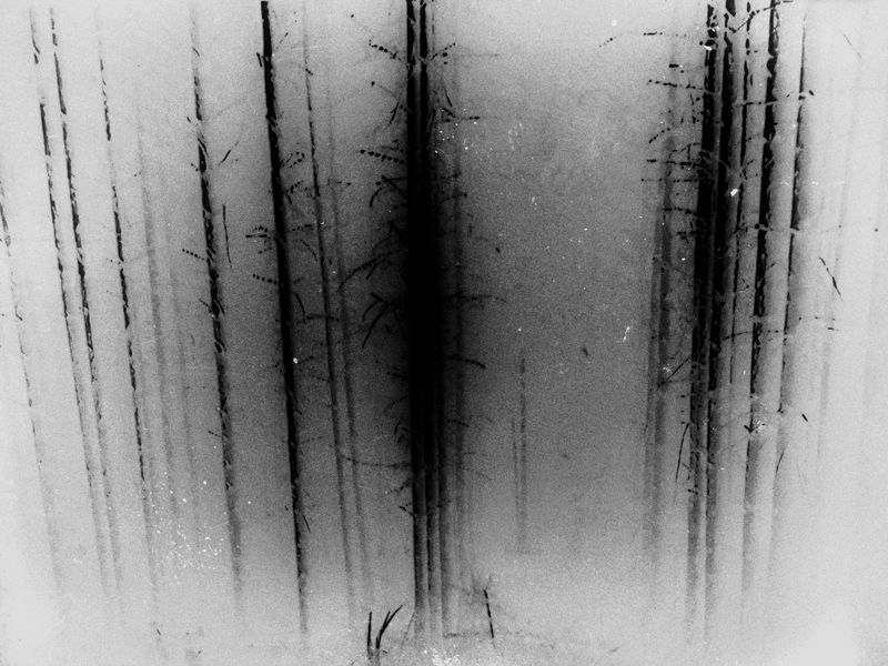 © Makis Makris - Image from the Blur the line photography project