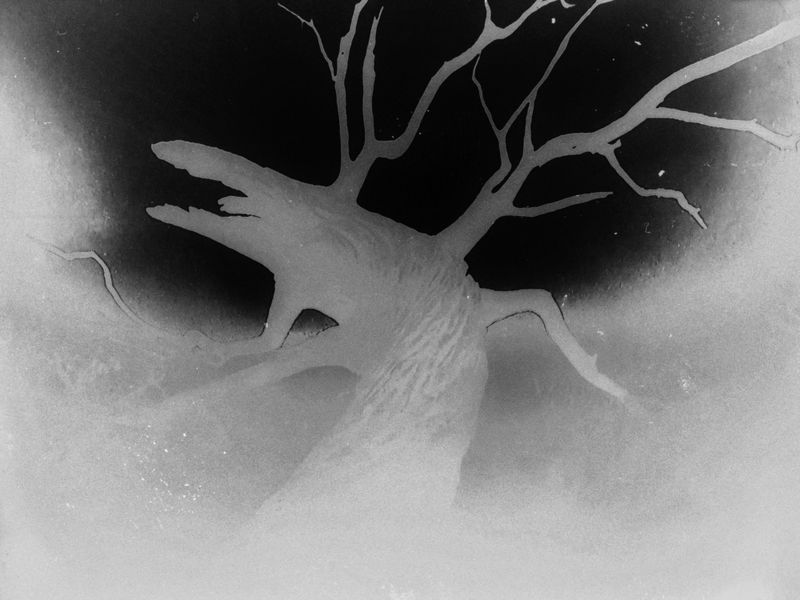 © Makis Makris - Image from the Blur the line photography project