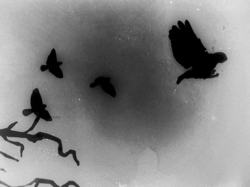 © Makis Makris - Image from the Blur the line photography project