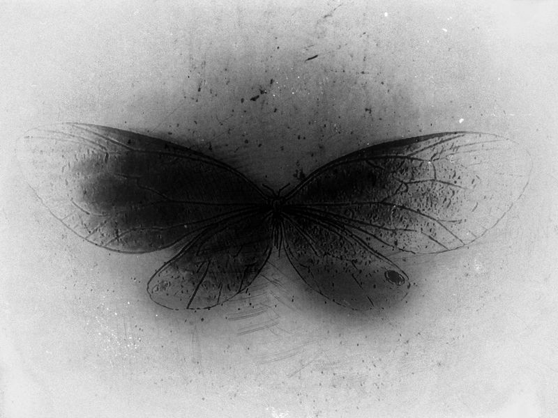 © Makis Makris - Image from the Blur the line photography project