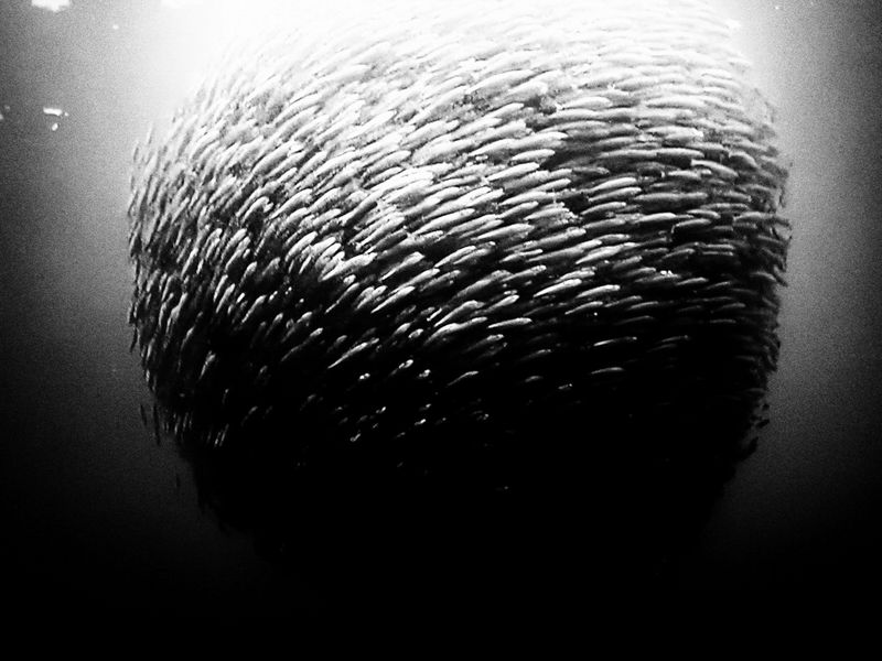 © Makis Makris - Image from the Odysseus’ Clepsydra photography project