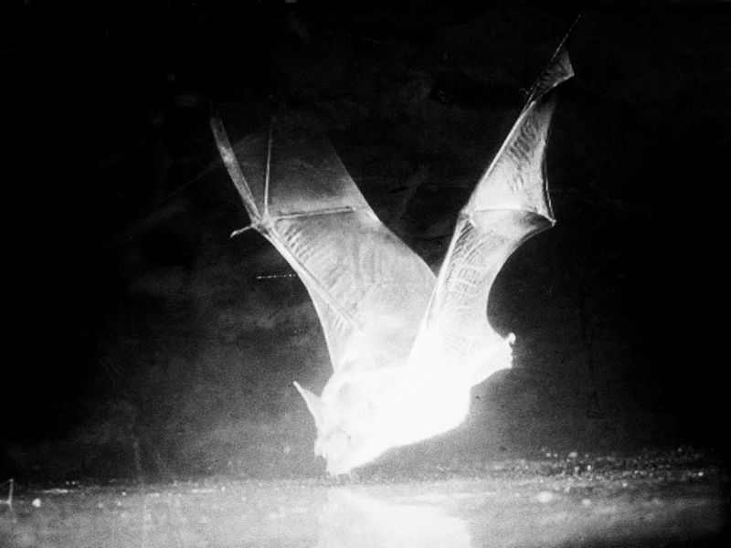 © Makis Makris - Image from the Odysseus’ Clepsydra photography project