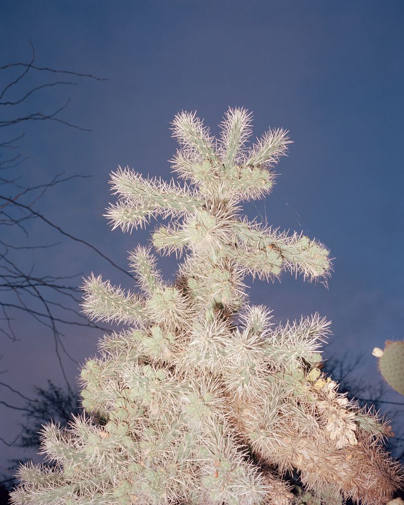 © Jake Nemirovsky - Image from the All that is Solid Melts to Air photography project