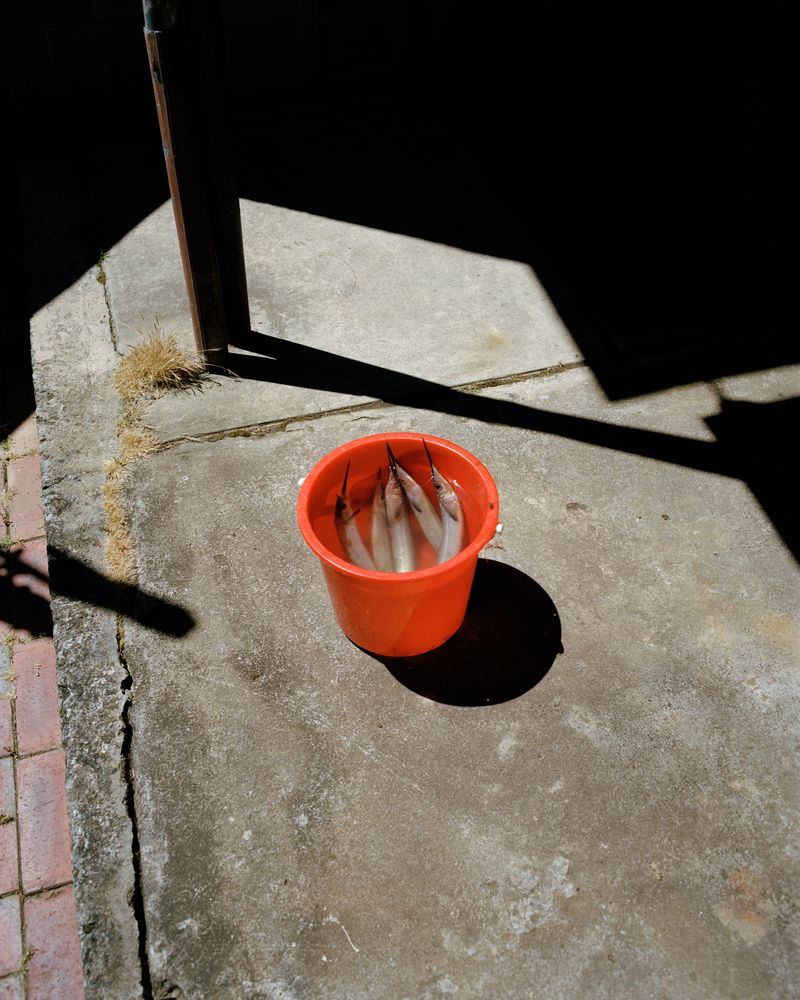 © Jake Nemirovsky - Image from the All that is Solid Melts to Air photography project