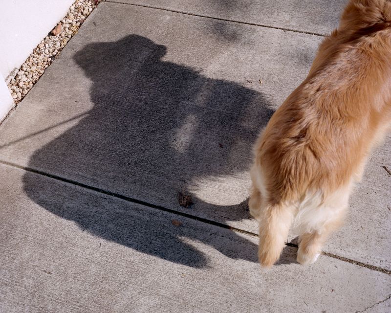 © Jake Nemirovsky - Image from the All that is Solid Melts to Air photography project