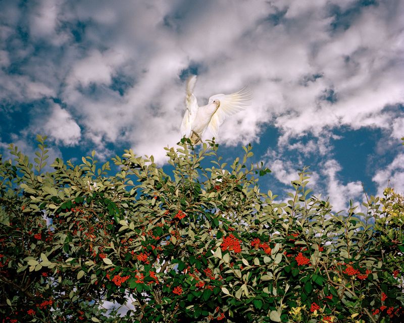 © Jake Nemirovsky - Image from the All that is Solid Melts to Air photography project