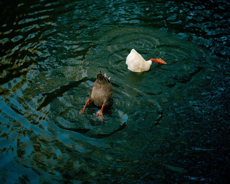 © Jake Nemirovsky - Image from the All that is Solid Melts to Air photography project