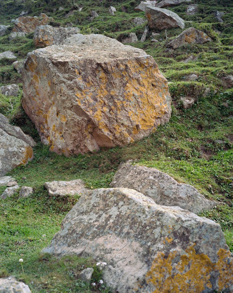 © Tianxi Wang - void contract.