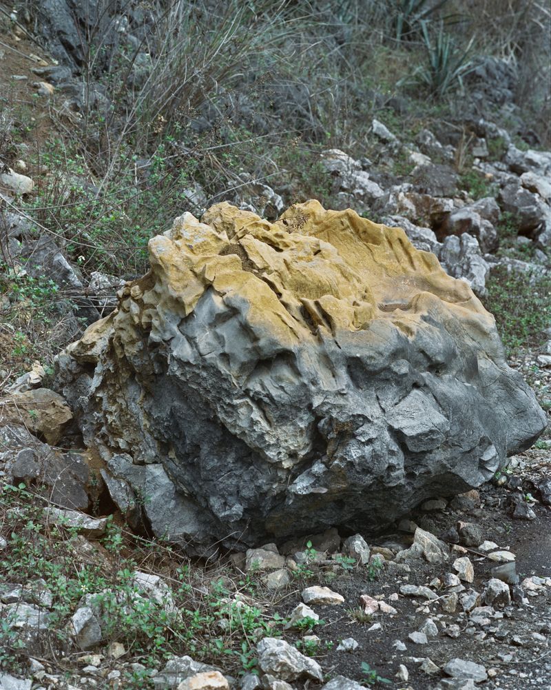 © Tianxi Wang - proposal from the impostor