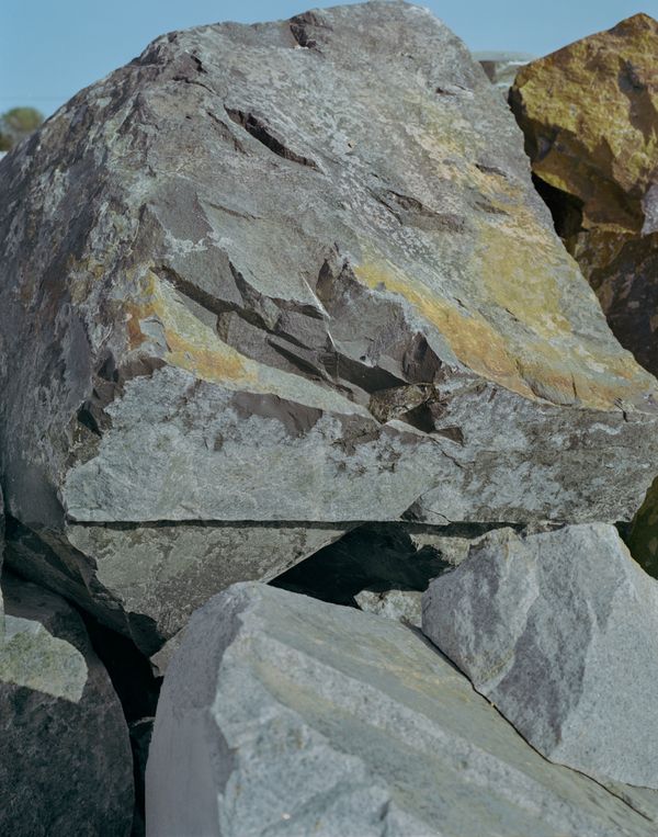 © Tianxi Wang - determination