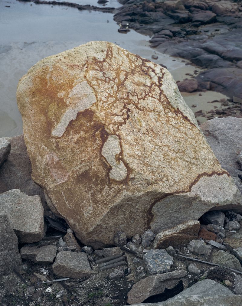 © Tianxi Wang - mumble