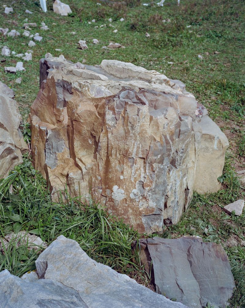 © Tianxi Wang - a harmless curse