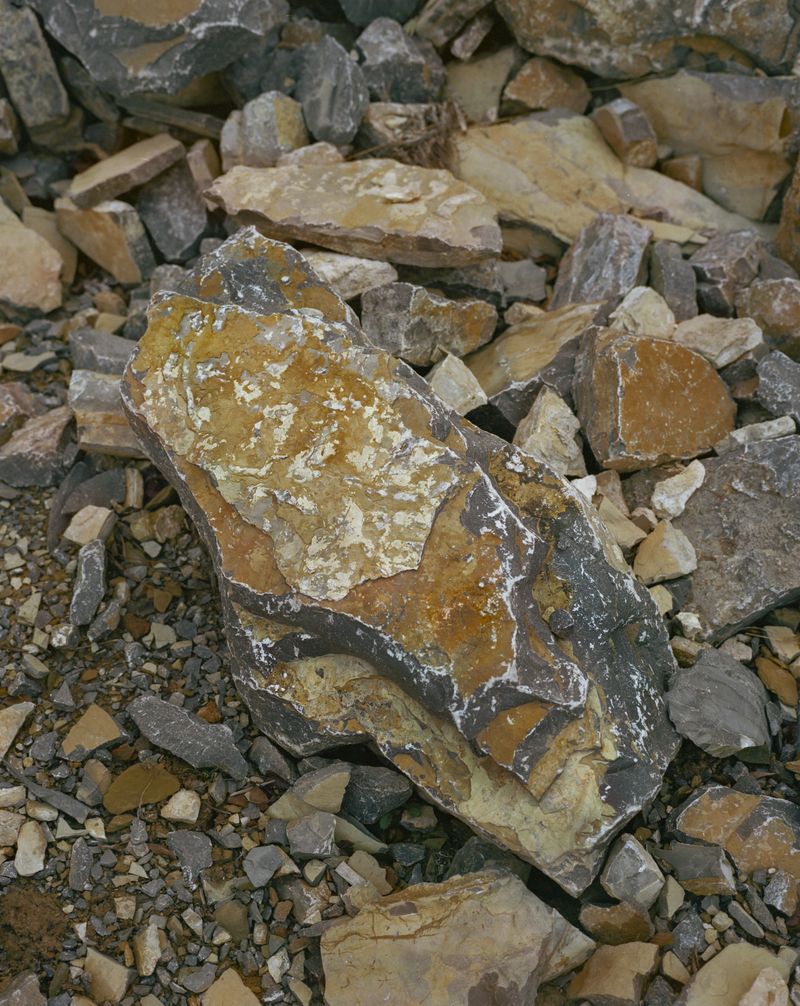 © Tianxi Wang - unspoken somniloquy