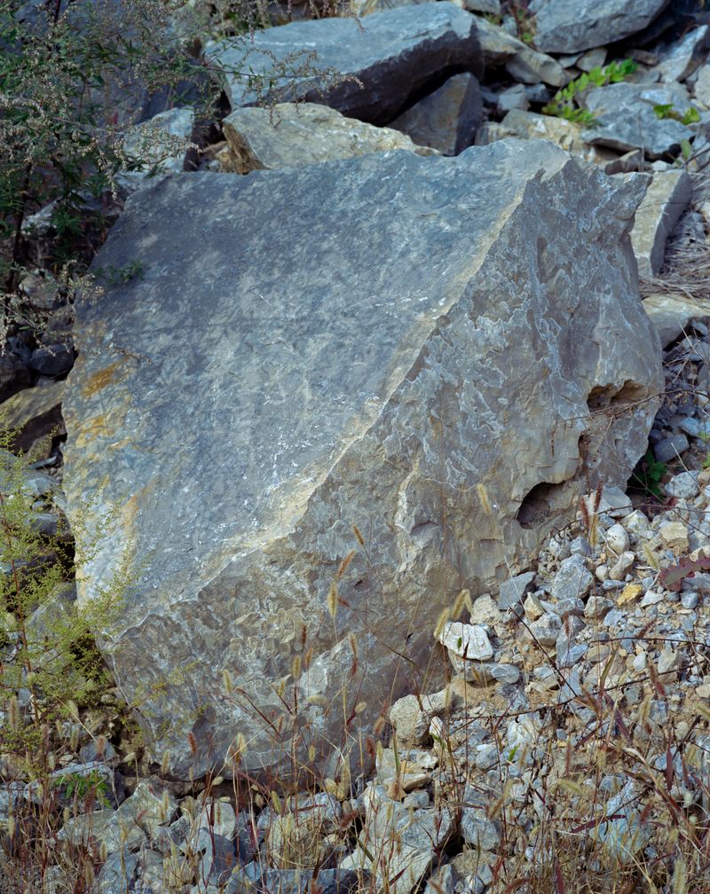 © Tianxi Wang - untitled truth