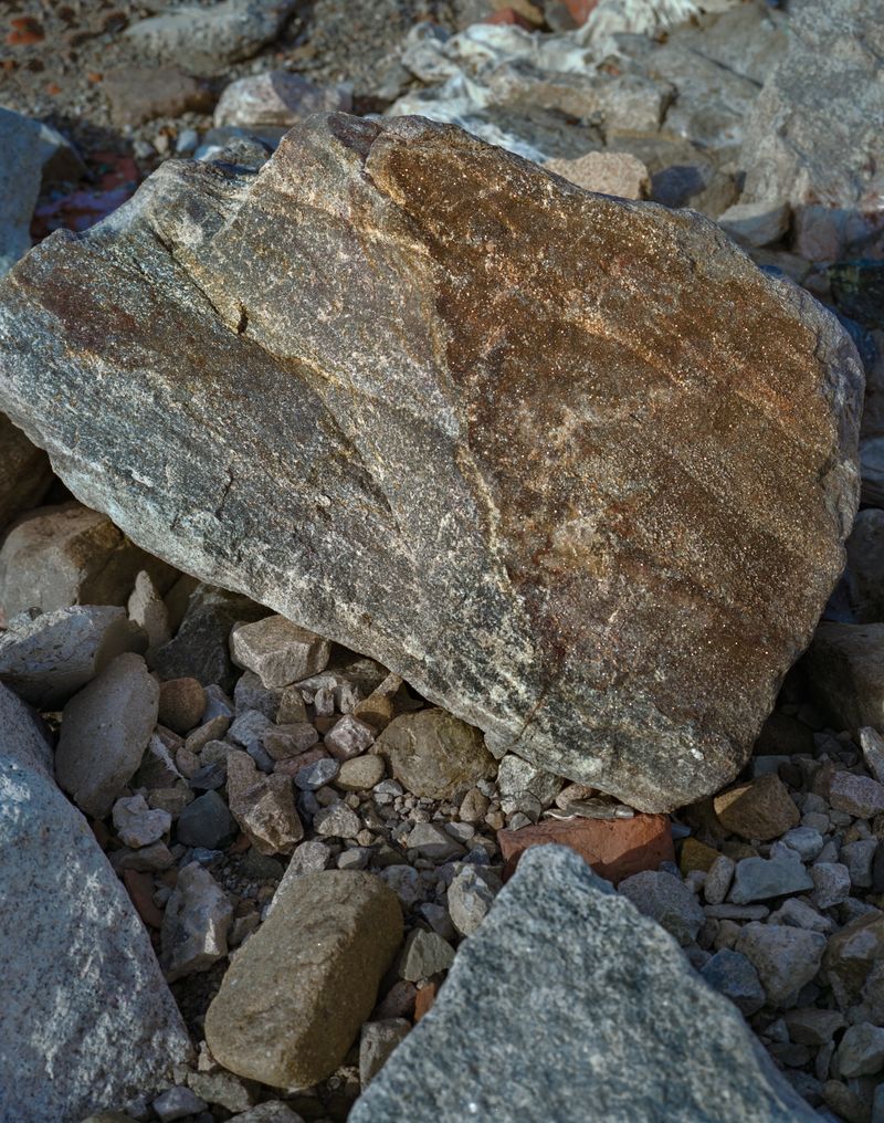 © Tianxi Wang - inopportune retelling