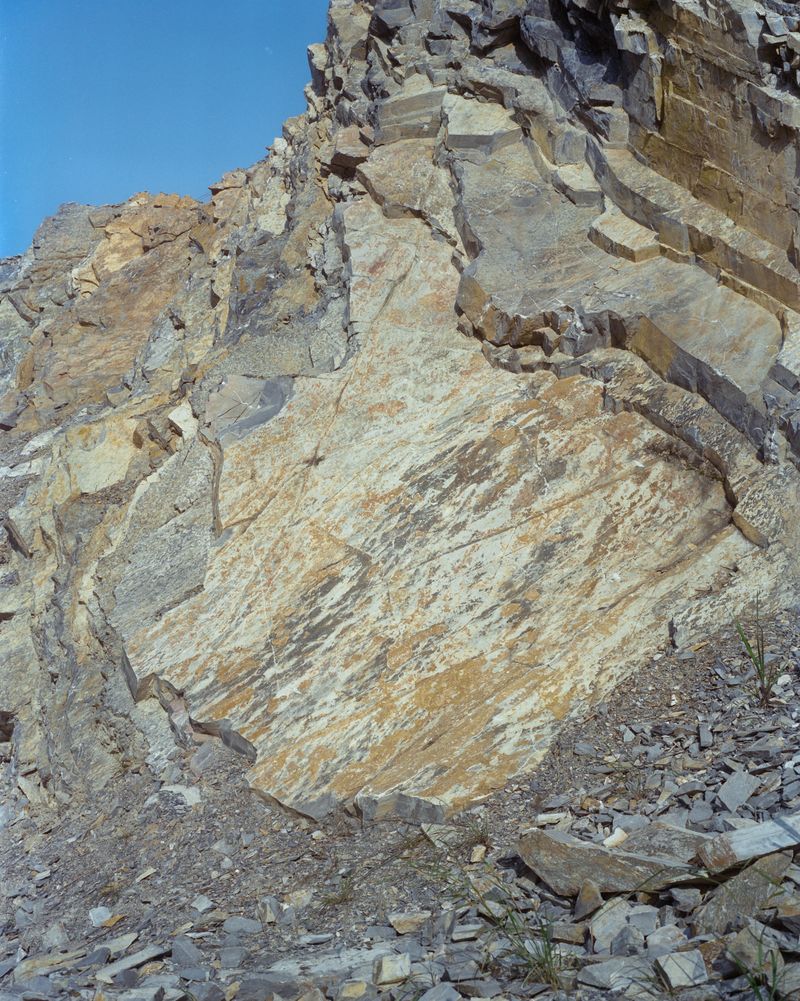 © Tianxi Wang - fragments