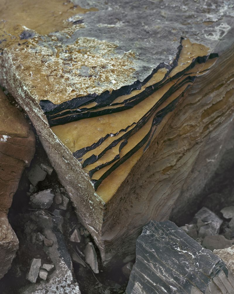 © Tianxi Wang - irrelevant answer