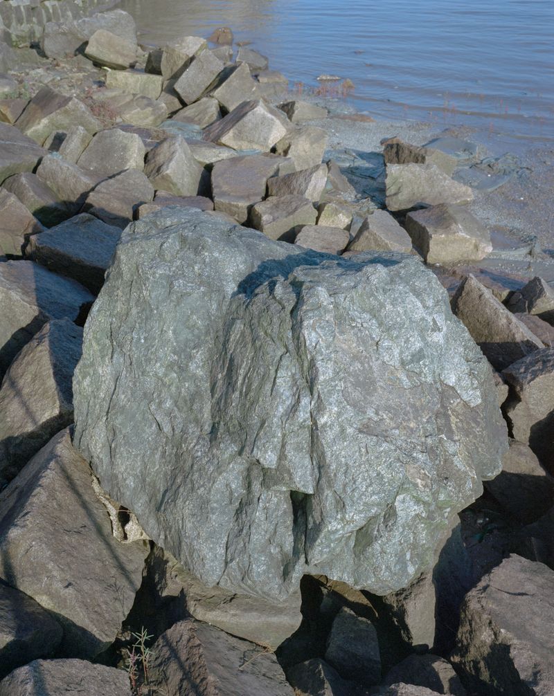 © Tianxi Wang - unspoken criticism