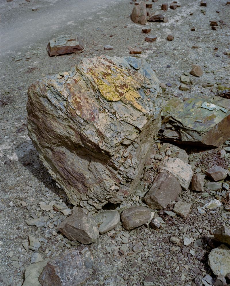 © Tianxi Wang - testament