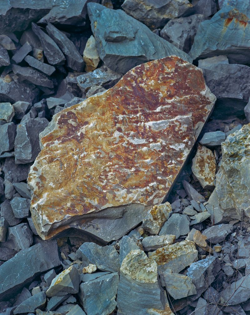 © Tianxi Wang - propaganda