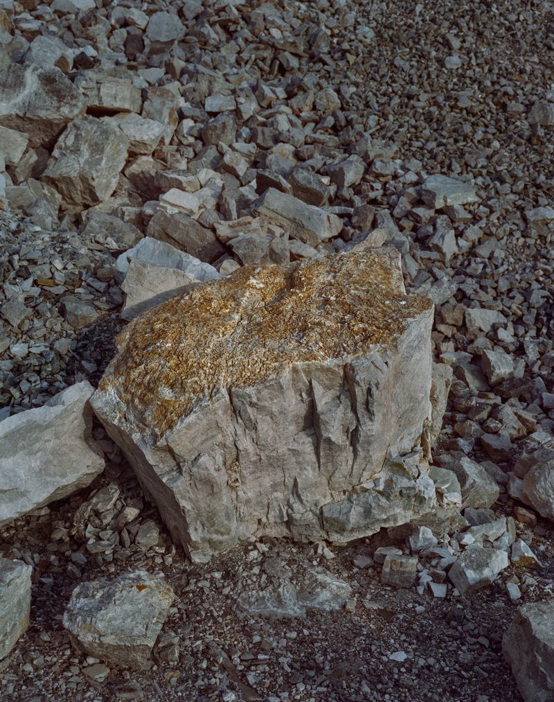 © Tianxi Wang - song of the mad king