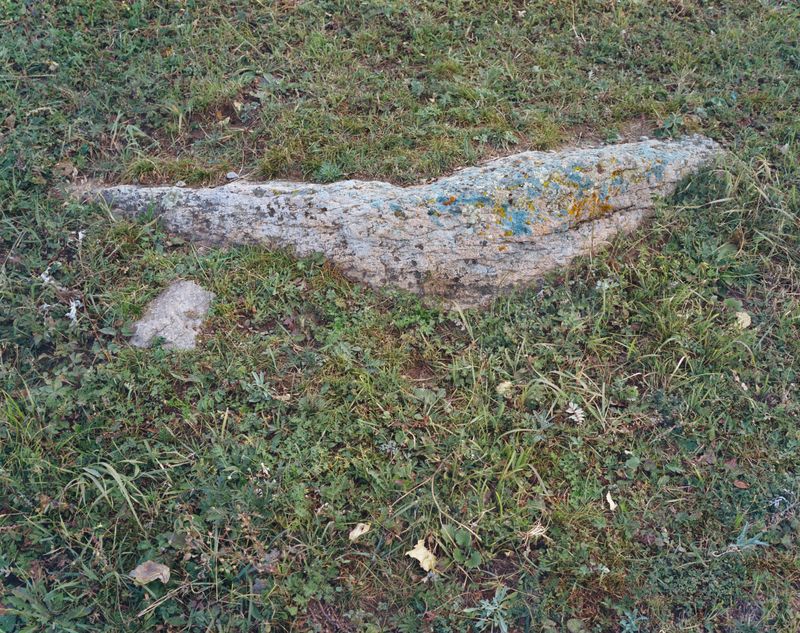 © Tianxi Wang - heavy heart