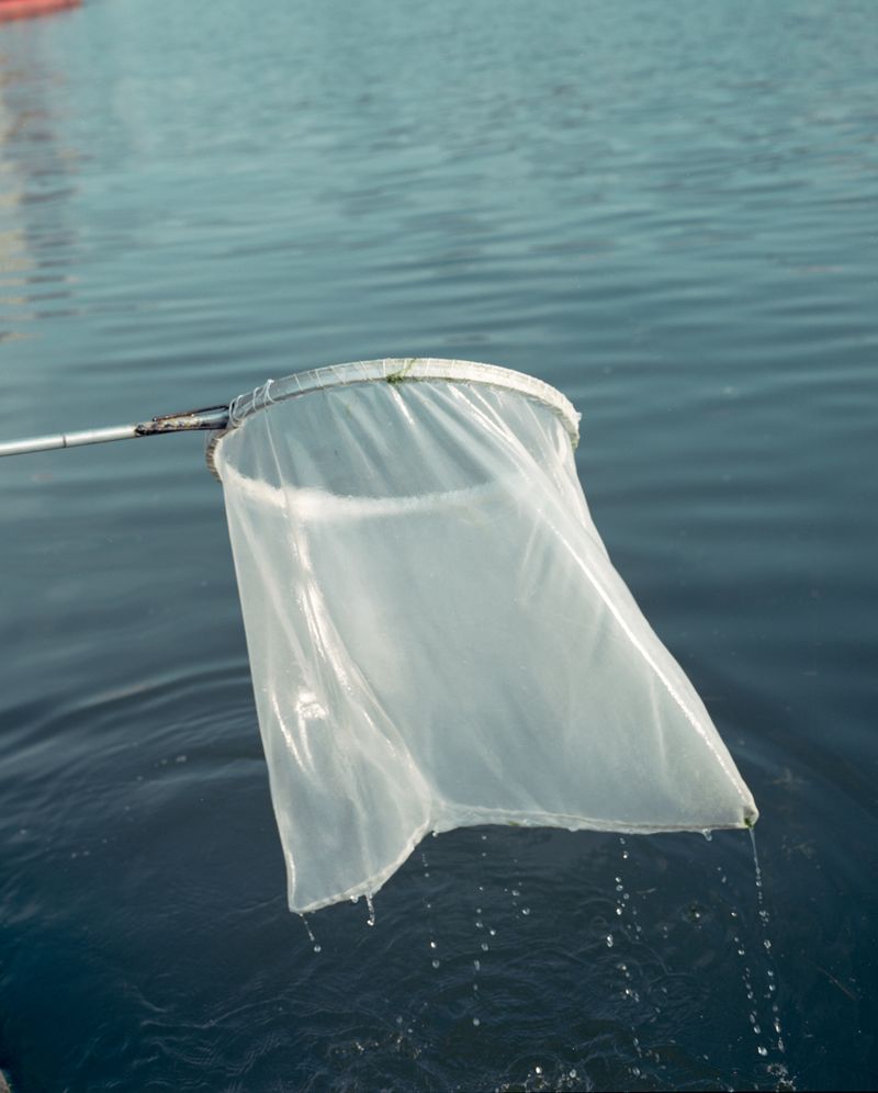 © Tianxi Wang - Image from the So long, and thanks for all the fish photography project