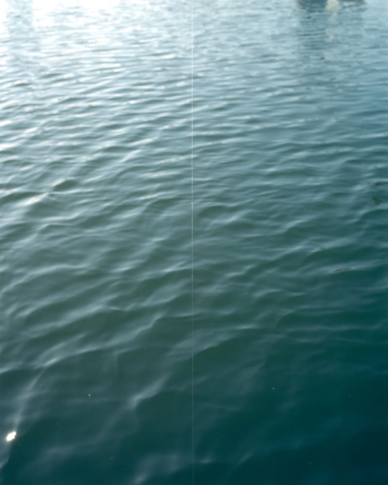 © Tianxi Wang - Image from the So long, and thanks for all the fish photography project