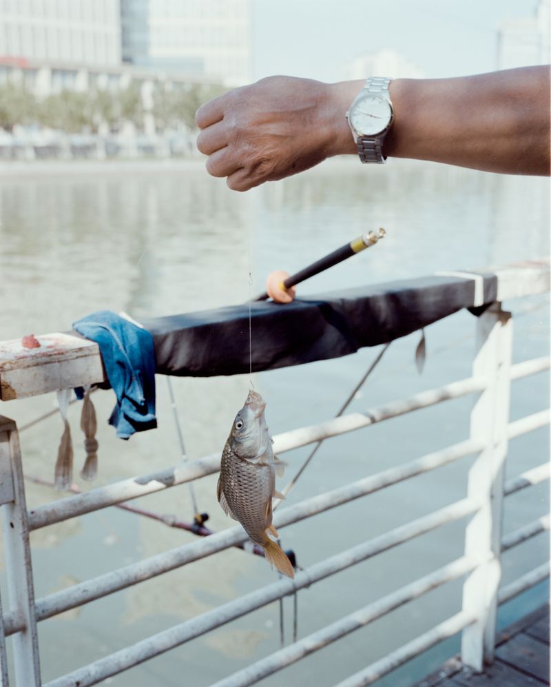 © Tianxi Wang - Image from the So long, and thanks for all the fish photography project