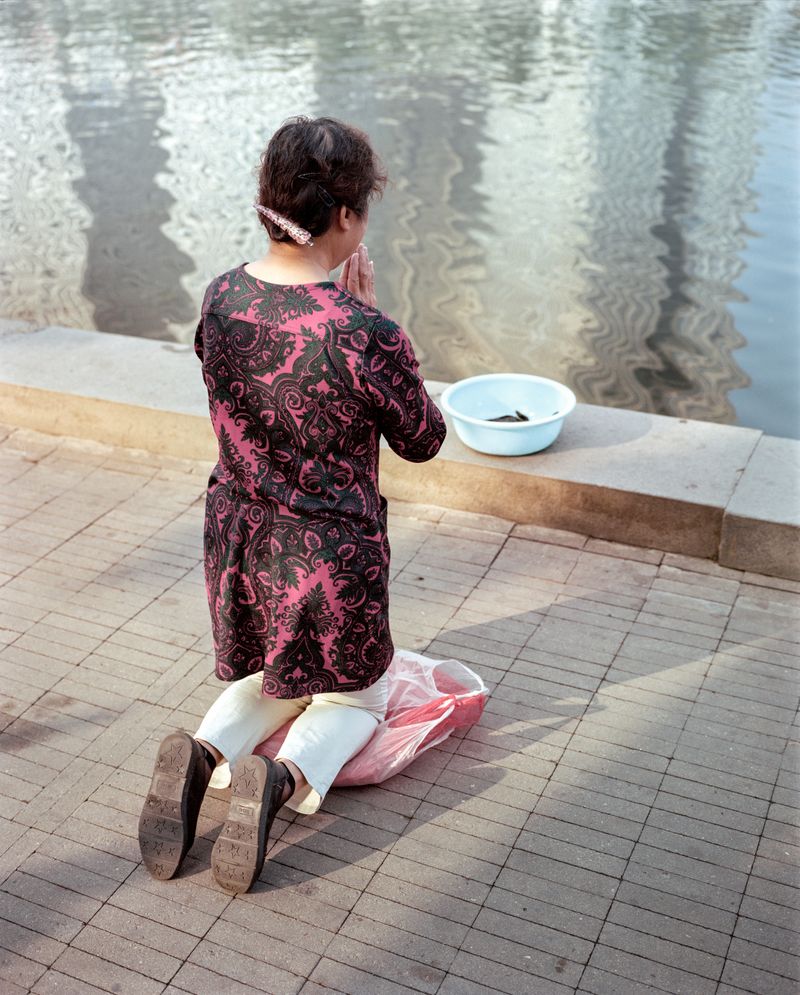 © Tianxi Wang - Image from the So long, and thanks for all the fish photography project