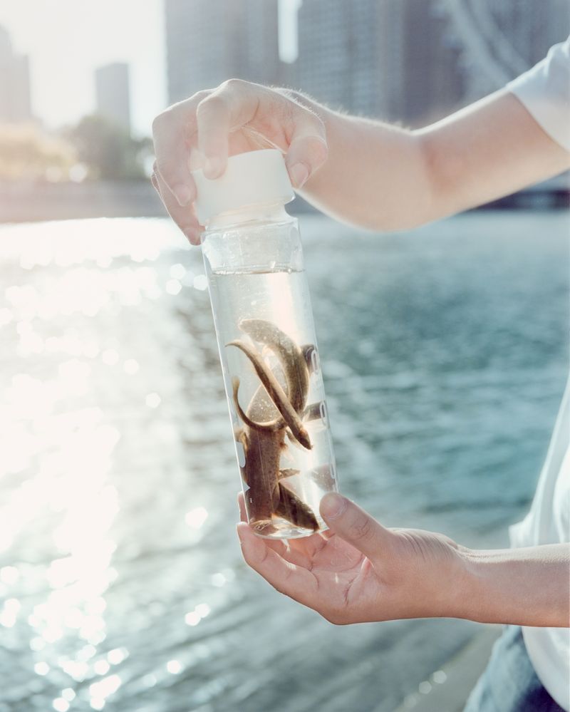 © Tianxi Wang - Image from the So long, and thanks for all the fish photography project