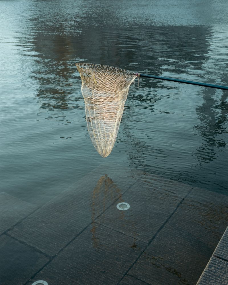 © Tianxi Wang - Image from the So long, and thanks for all the fish photography project