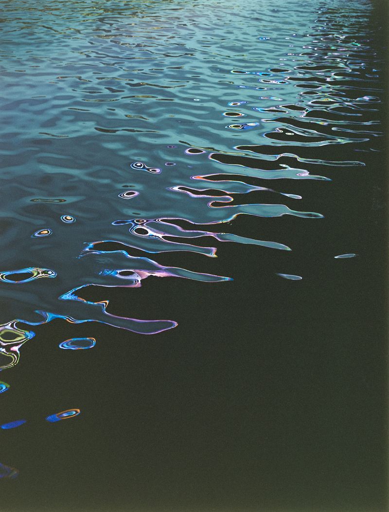 © Tianxi Wang - Image from the So long, and thanks for all the fish photography project