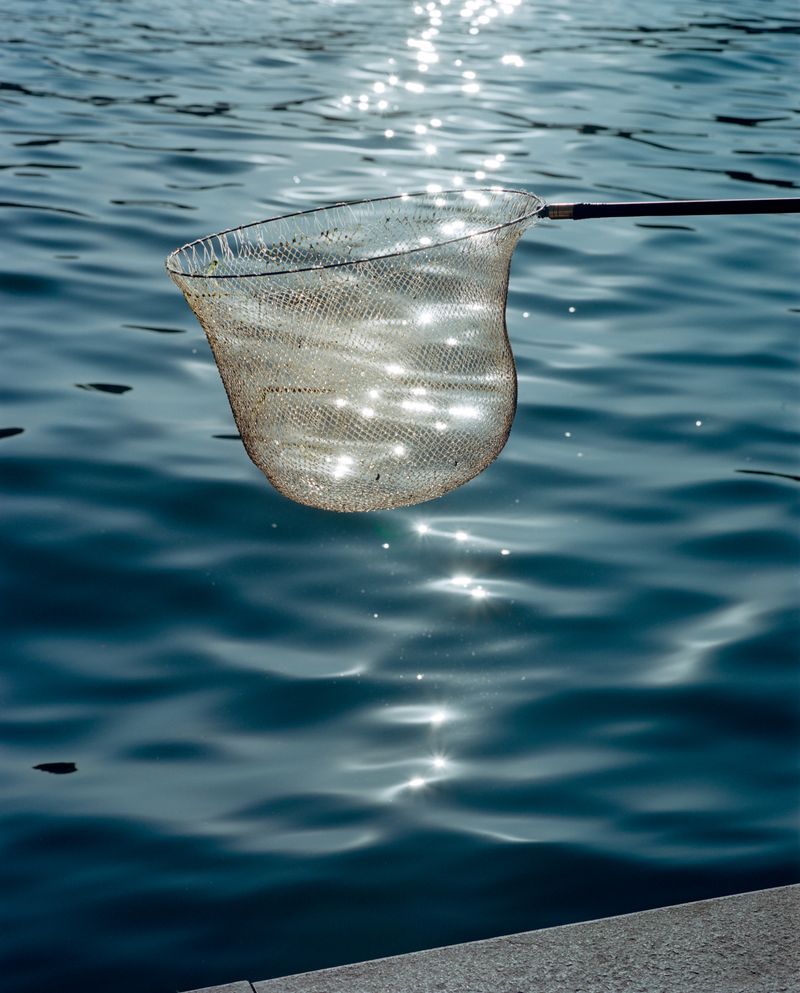 © Tianxi Wang - Image from the So long, and thanks for all the fish photography project