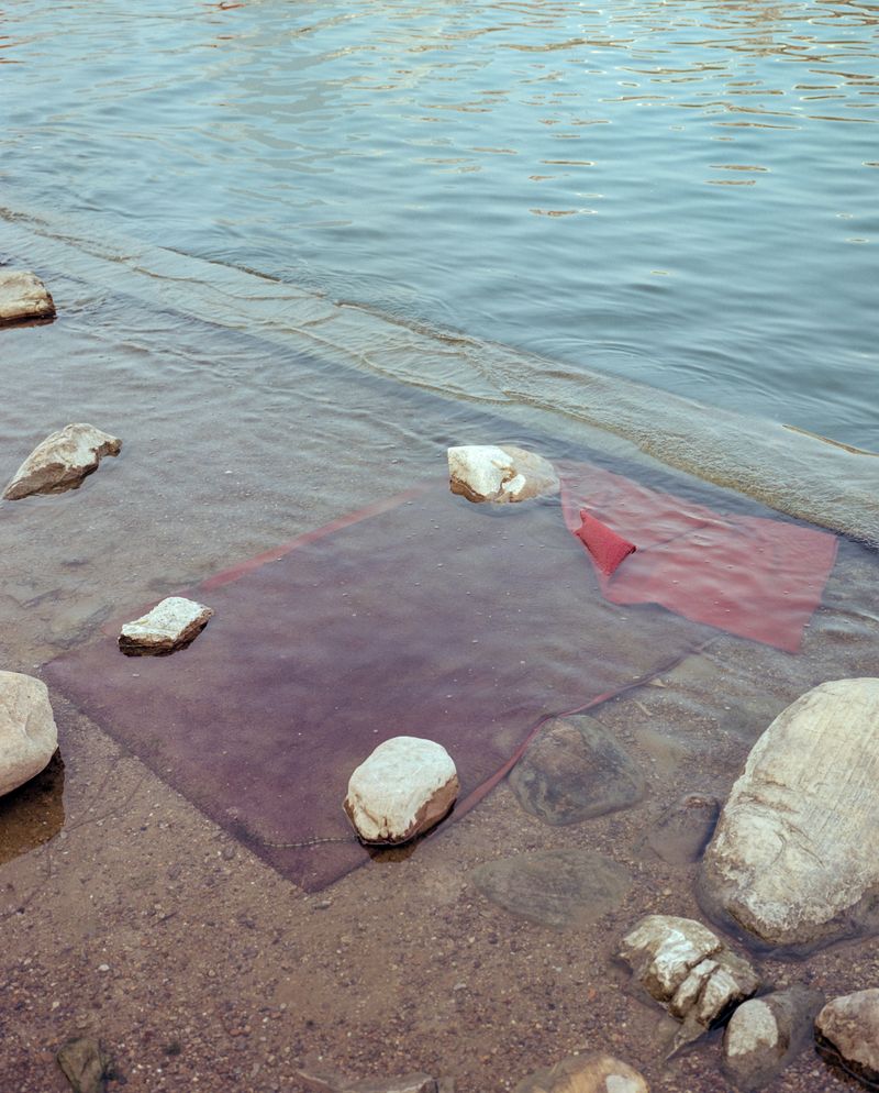 © Tianxi Wang - Image from the So long, and thanks for all the fish photography project