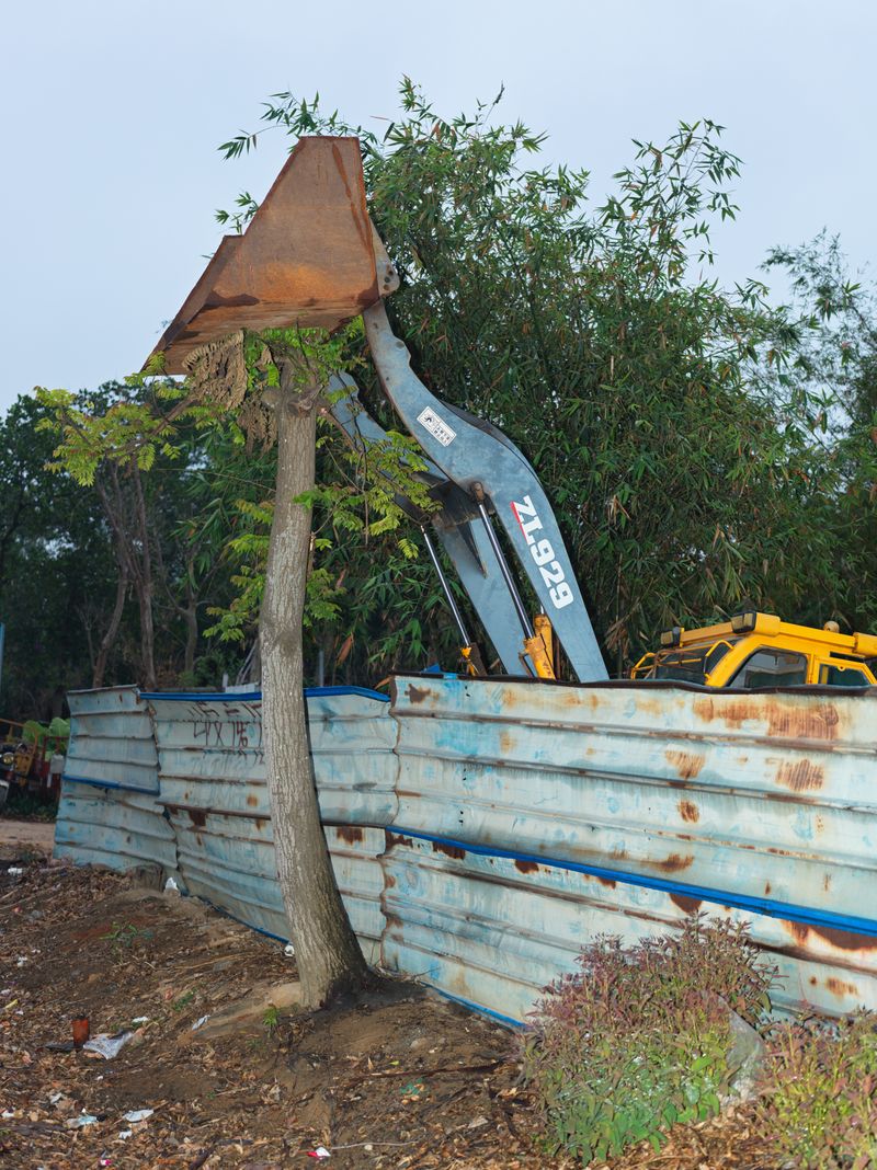 © Tianxi Wang - An excavator bucket resting against a trimmed tree.