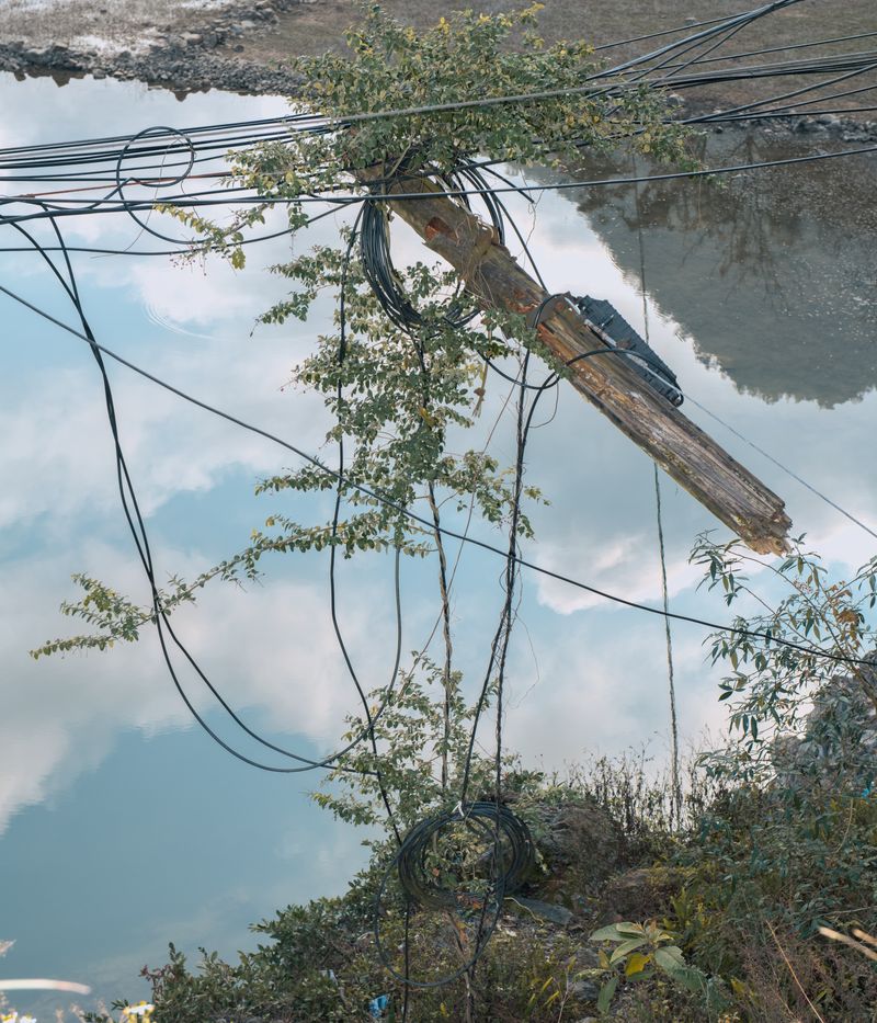 © Tianxi Wang - Power Lines Growing from a fractured pole