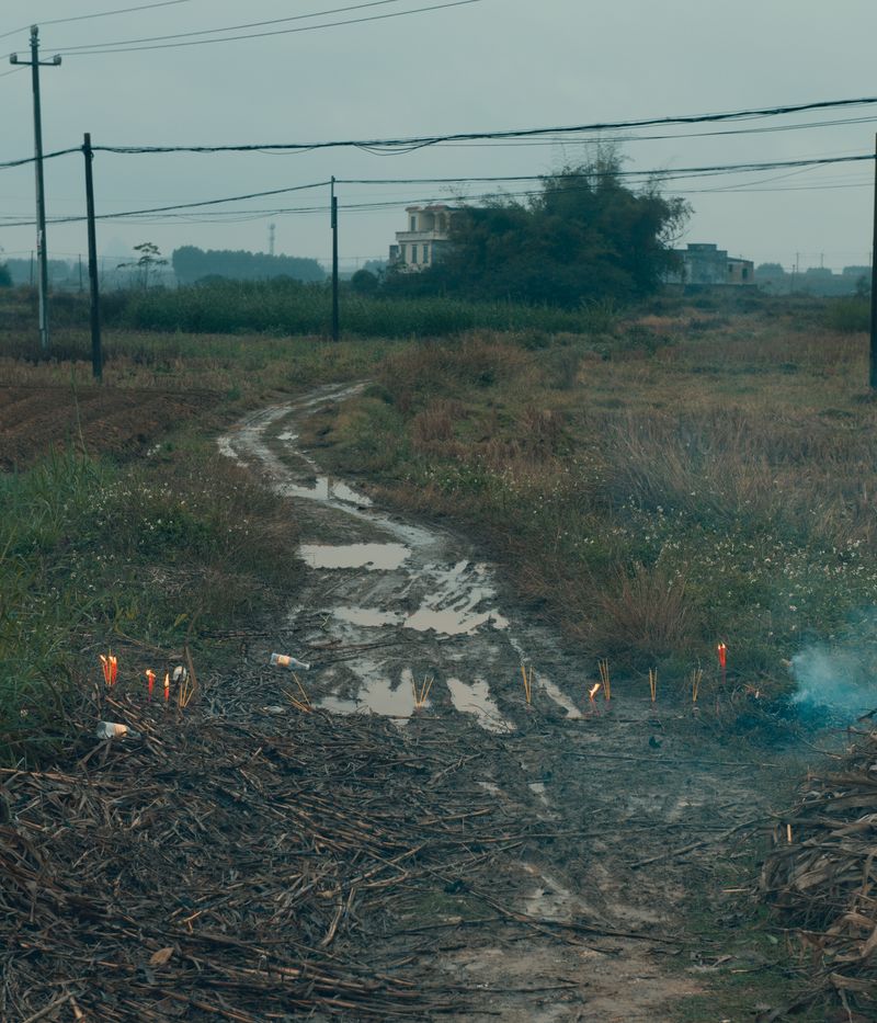 © Tianxi Wang - Muddy Path Blocked by Incense Candles