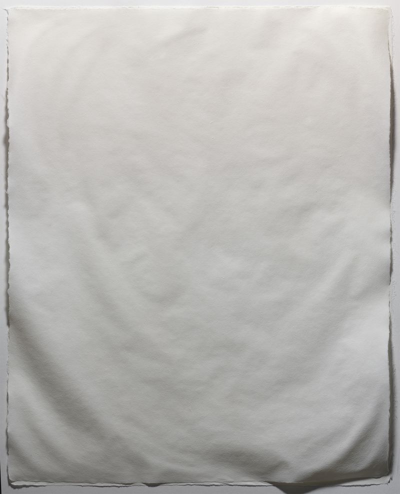 © Tianxi Wang - A huge size image of wrinkled paper. (Dried after got wet.) 330 x 420cm print. 2022