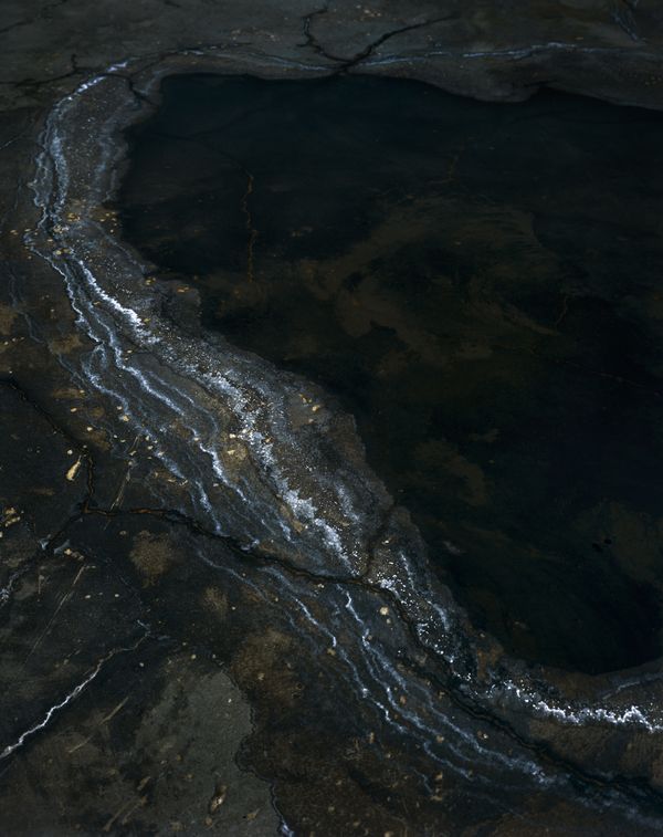 © Tianxi Wang - Salt marsh. 2022