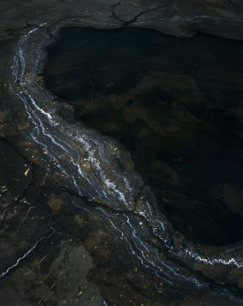 © Tianxi Wang - Salt marsh. 2022