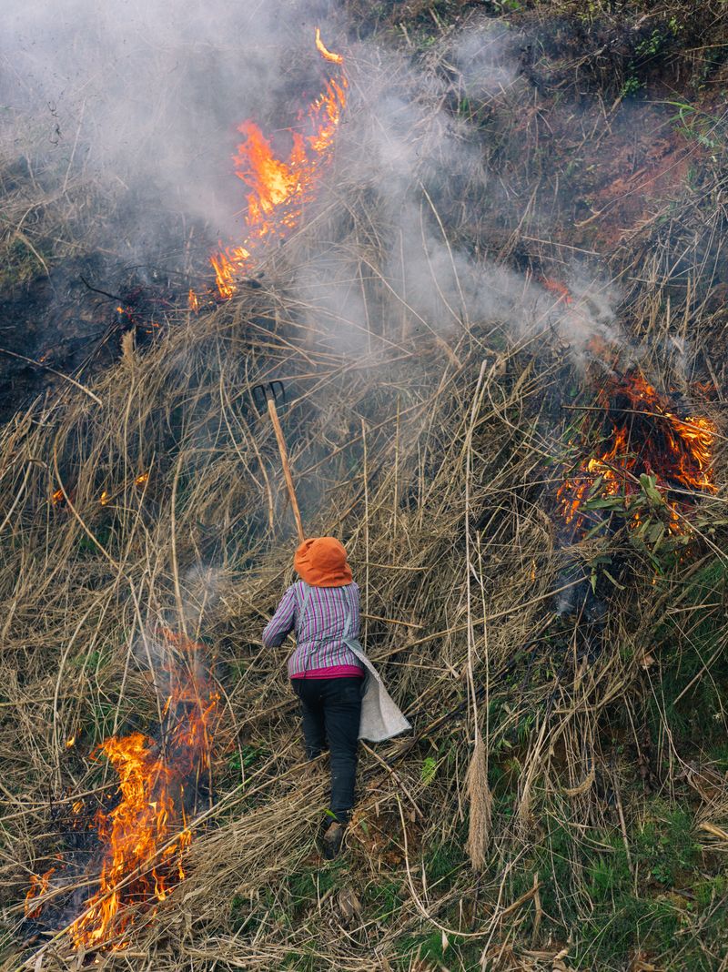© Tianxi Wang - The person burning the mountain.