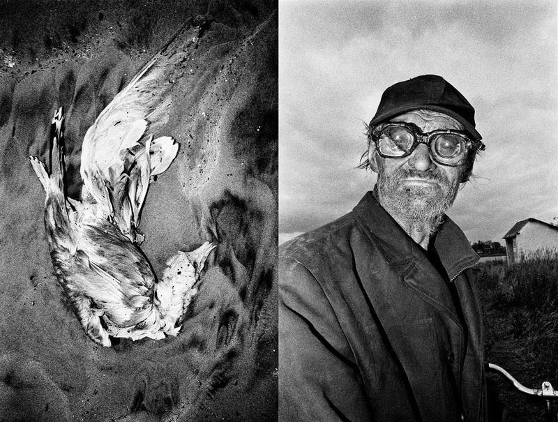 © Mateusz Sarello - Image from the Swell photography project