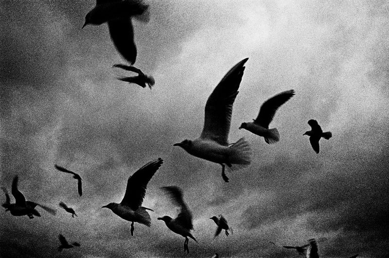 © Mateusz Sarello - Image from the Swell photography project