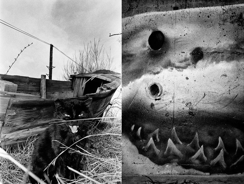 © Mateusz Sarello - Image from the Swell photography project