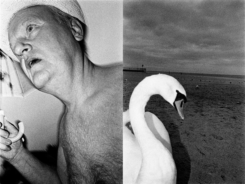 © Mateusz Sarello - Image from the Swell photography project