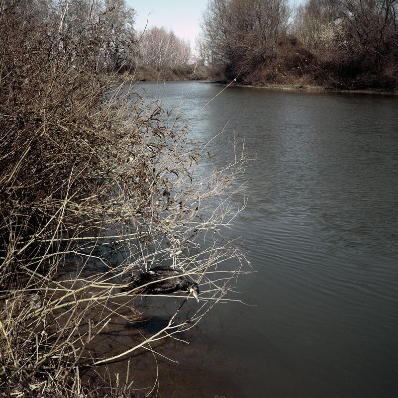 © Thanos Kostikos - Image from the Legend says gold lies beneath the riverbed photography project