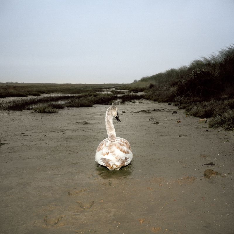 © Thanos Kostikos - Image from the Legend says gold lies beneath the riverbed photography project