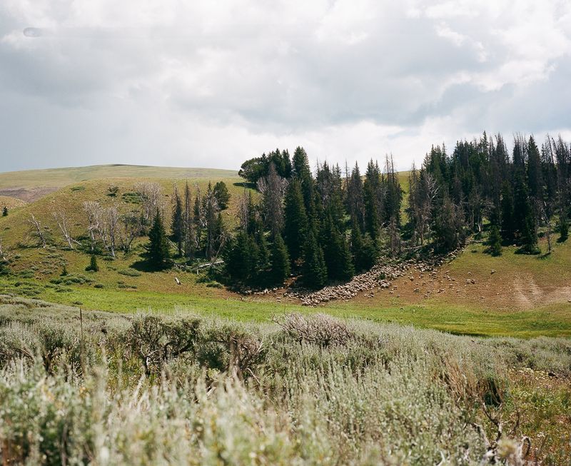 © Katrina D'autremont - Image from the The Other Mountain photography project